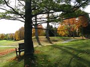 Lynne Lofquist view3.JPG
