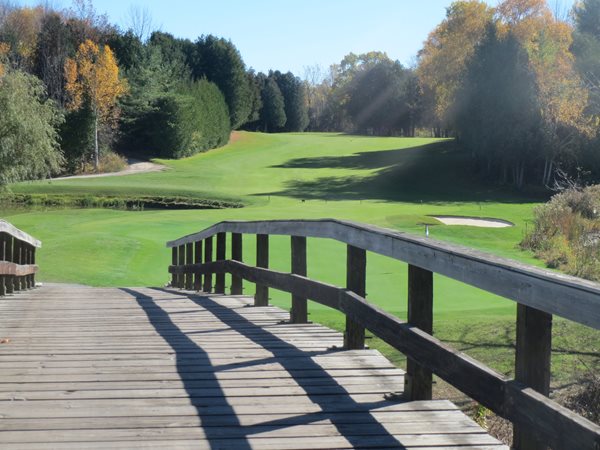 Debbie_Watson_Bridge_and_17_Green