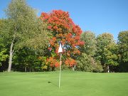 Debbie Watson 12th Green