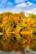FALL REFLECTIONS ON THE RIVER