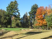 Debbie Watson 5 Green