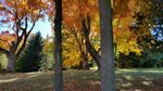 Lynne_Lofquist_3