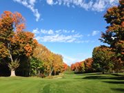 Craig McDonald 12 fairway.JPG