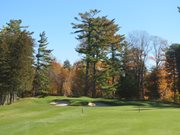 Debbie Watson 4th Green