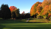 Craig McDonald 13green.PNG