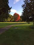 David_Smith_5