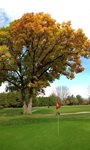 Craig_McDonald_6