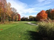 Craig McDonald 17th tee.JPG