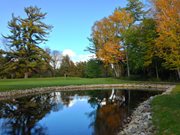 Craig McDonald 3rd green.JPG