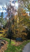 Lynne Lofquist Rest on 18.jpg